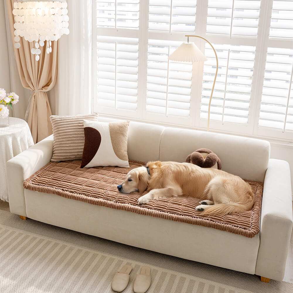DEVELOPAW Corduroy Quilted Sofa Cover Brown Dog