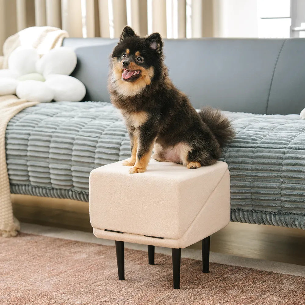 Ottoman – 2-in-1 Convertible Dog Ramp & Step Stool