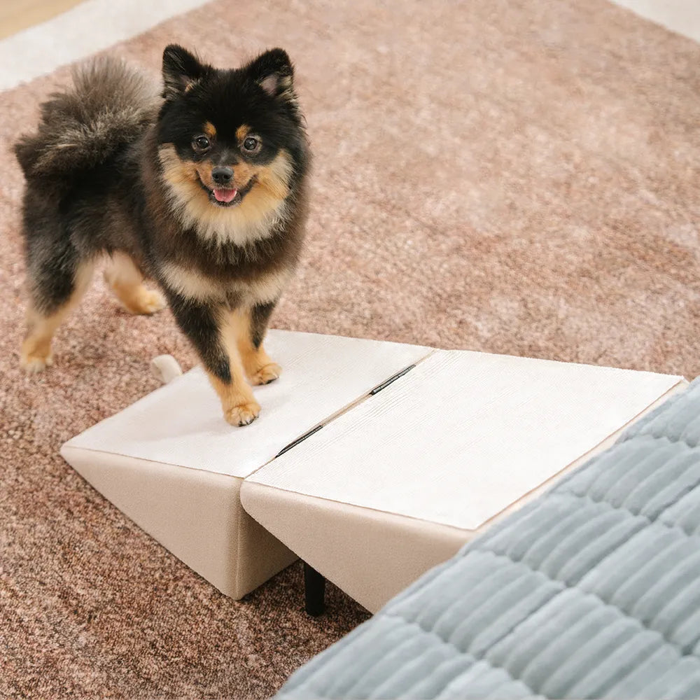 Ottoman – 2-in-1 Convertible Dog Ramp & Step Stool