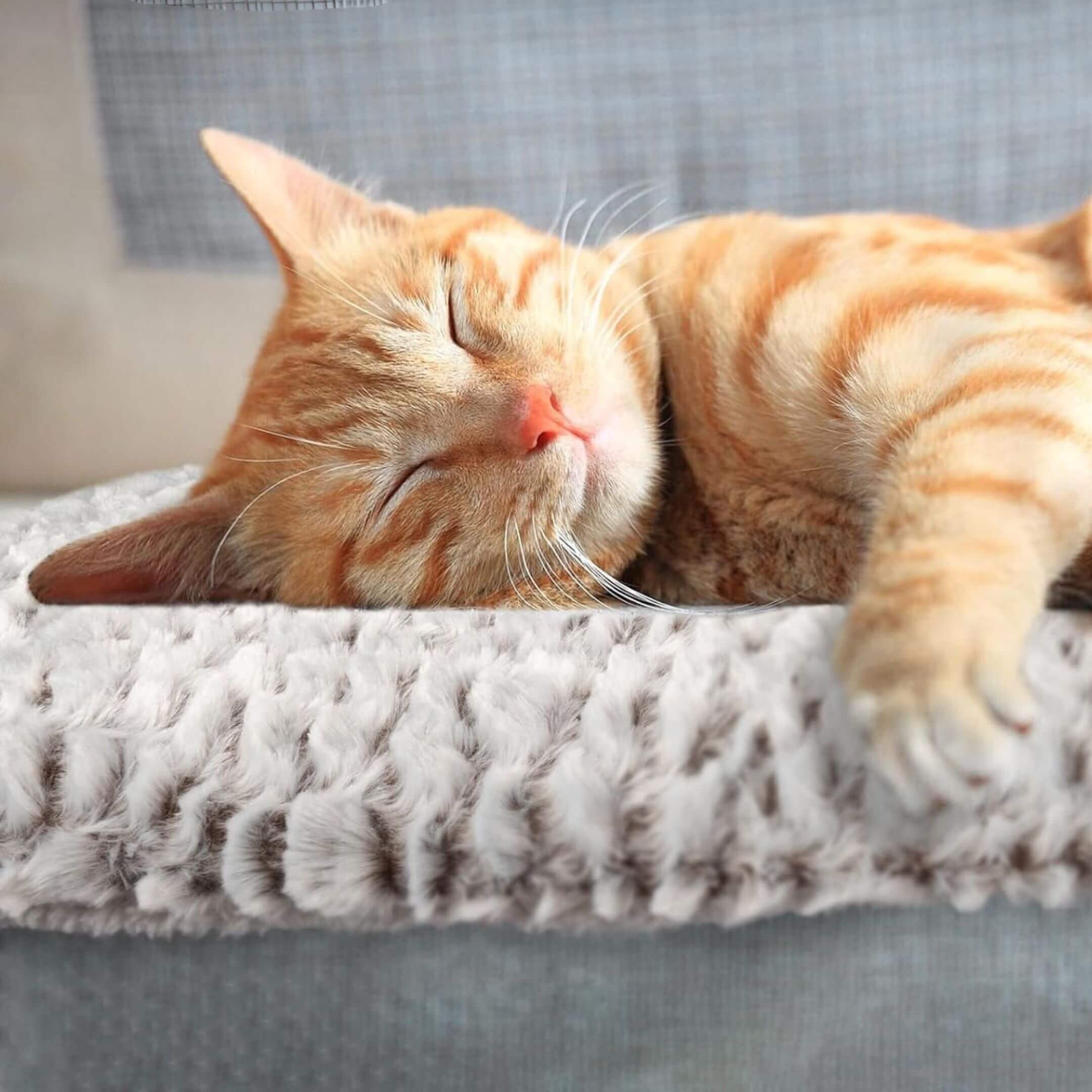Self-Warming Pet Mattress