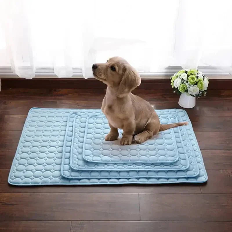 DEVELOPAW_DogCatCoolingMat - Sizes blue