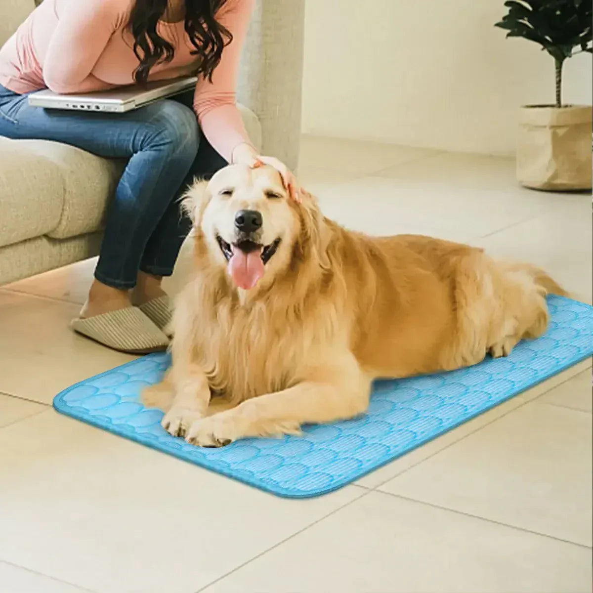 DEVELOPAW Dog Cat Cooling Mat -COLOR Blue