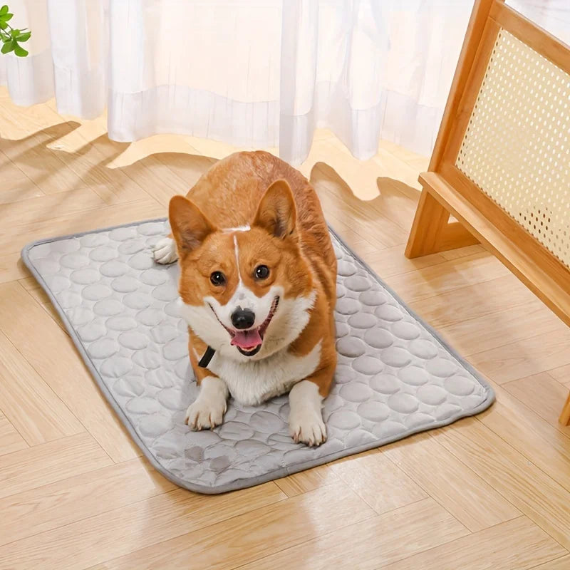 DEVELOPAW_Dog Cat Cooling Mat -COLOR Grey