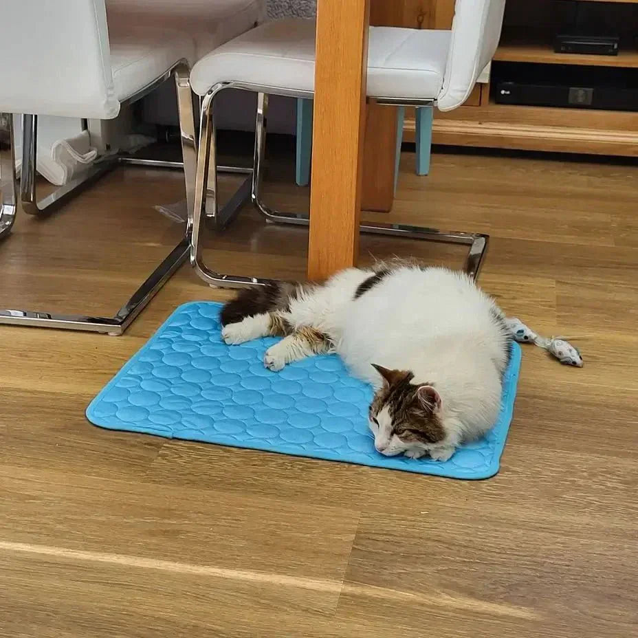 DEVELOPAW Dog & Cat Cooling Mat - Cat