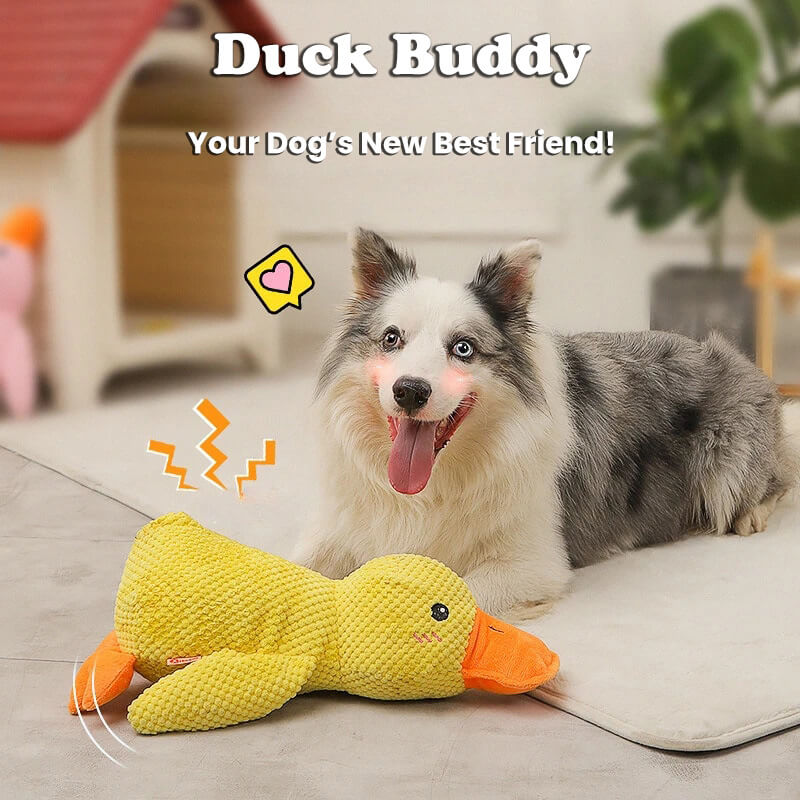BuddyDuck - Dog Companion