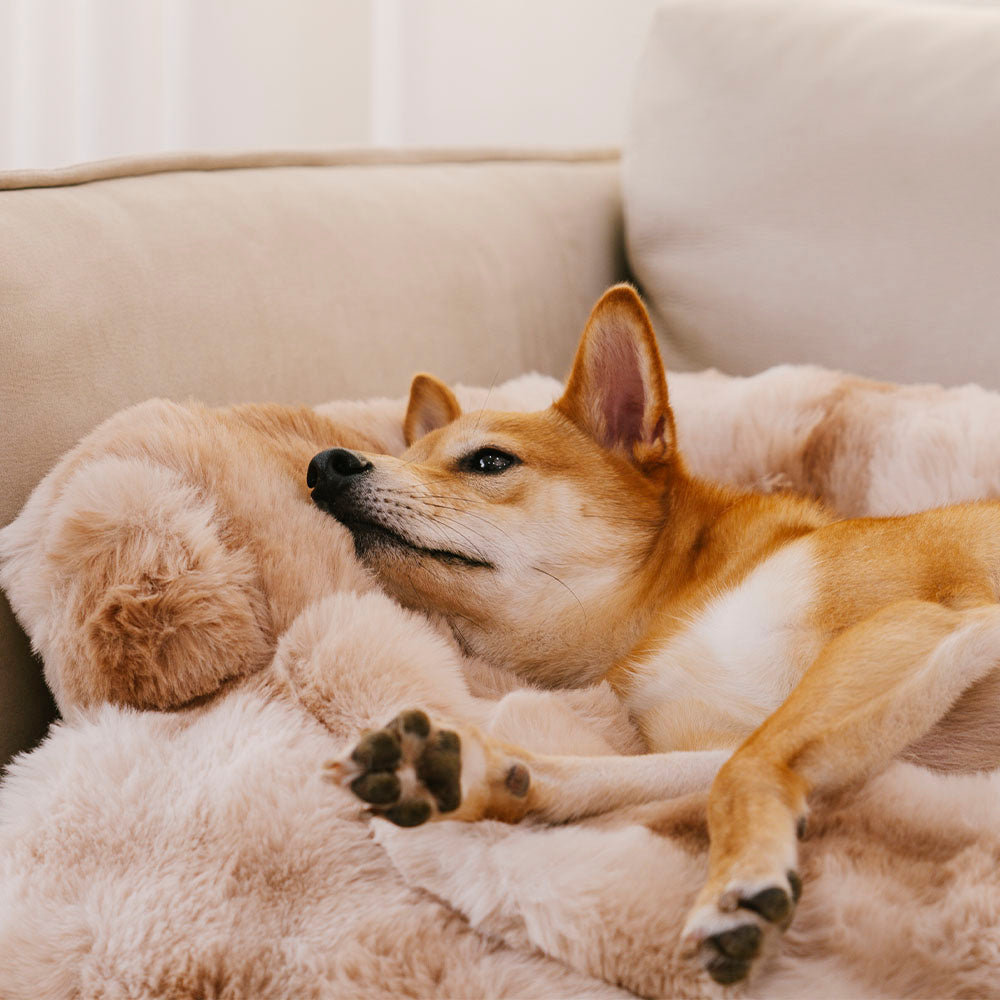 CozyCushion Dog Sofa Pad