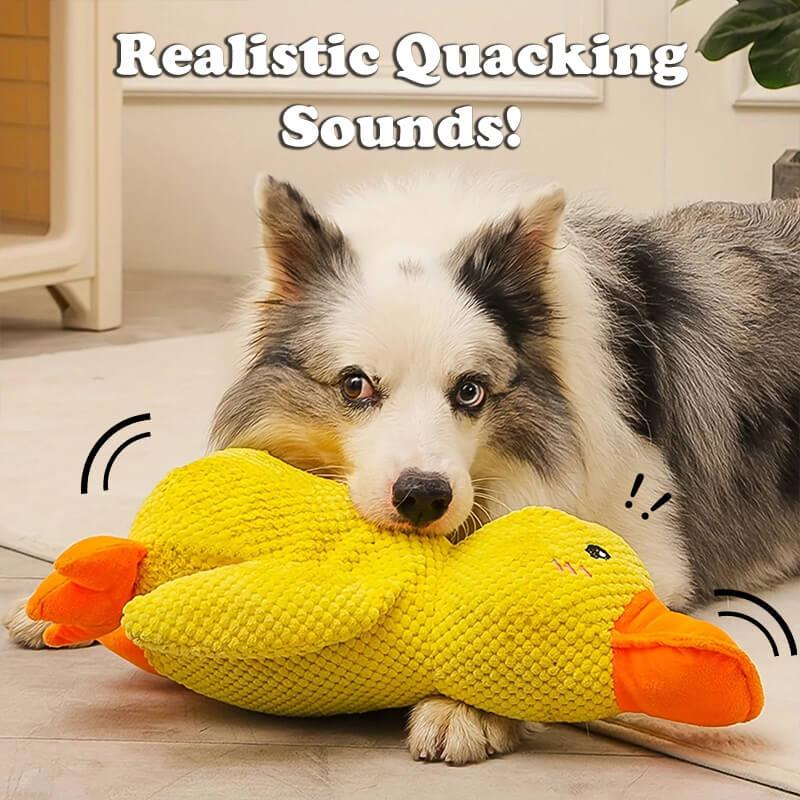 BuddyDuck - Dog Companion