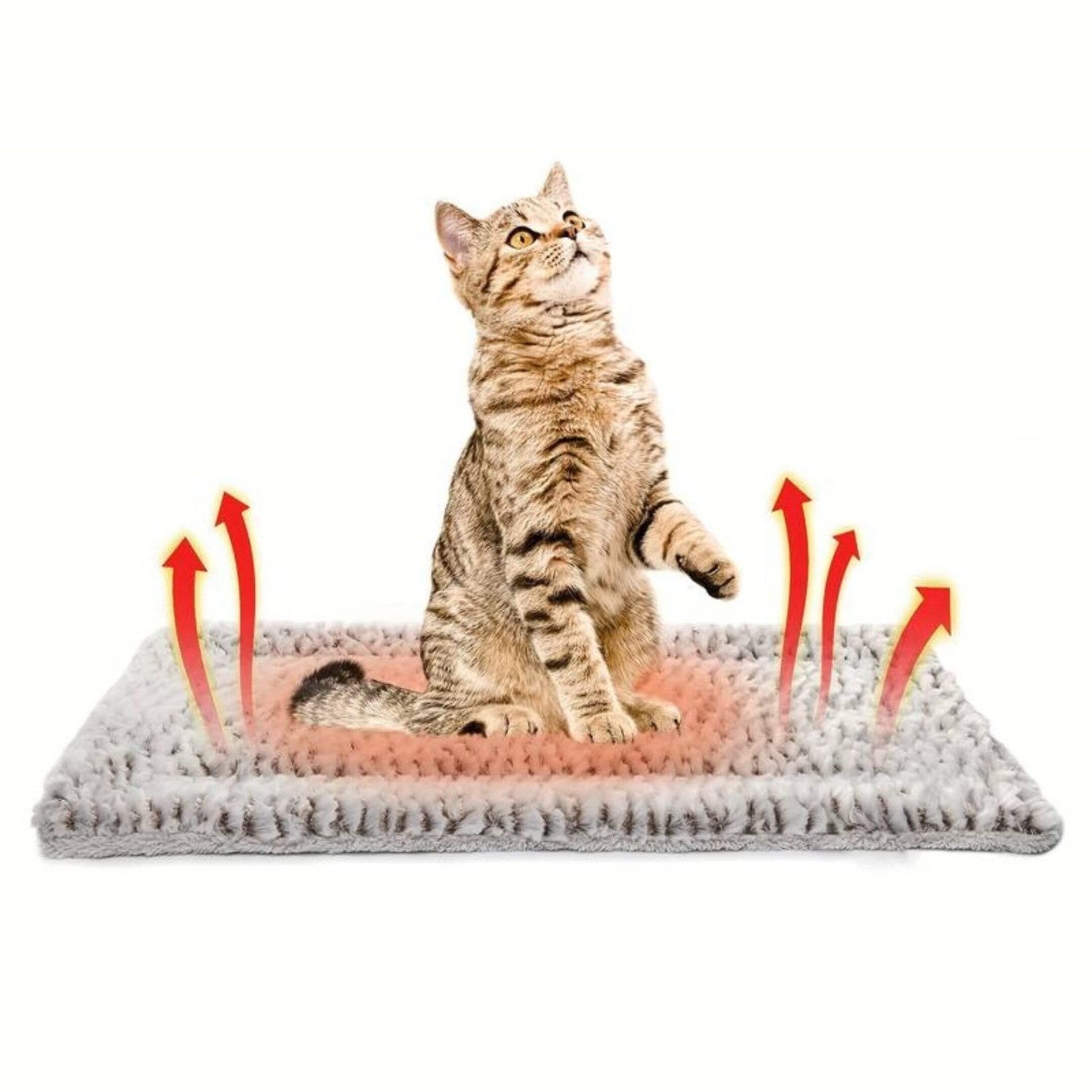 Self-Heating Pet Mat - Developaw - 2