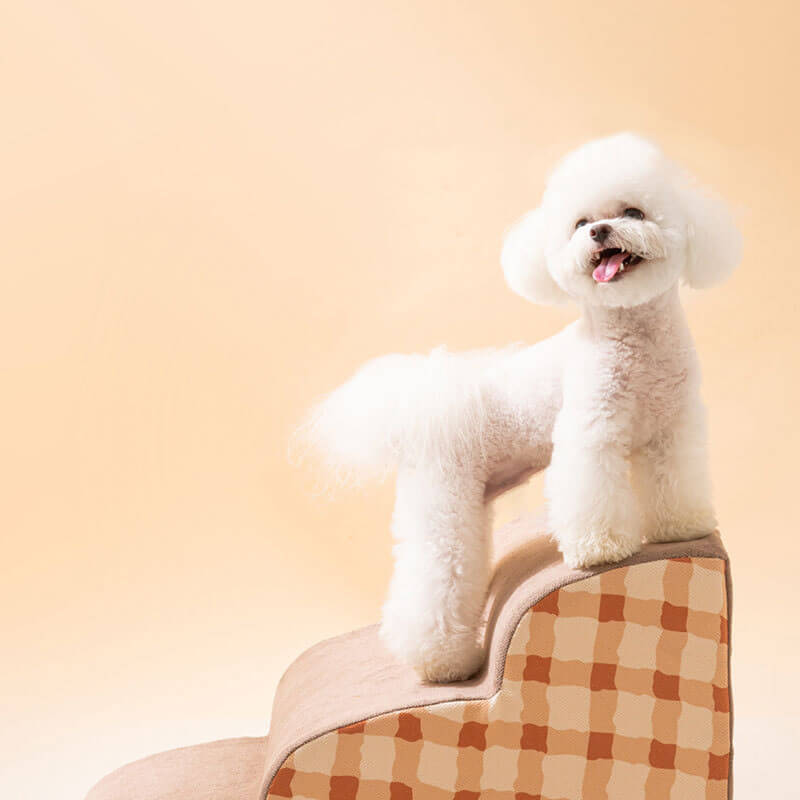 PawClimb Dog Ladder – Removable Pet Climbing Stairs