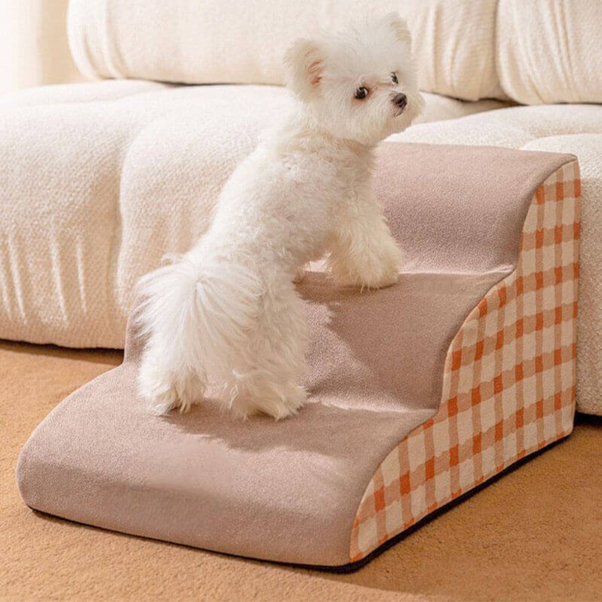 PawClimb Dog Ladder – Removable Pet Climbing Stairs