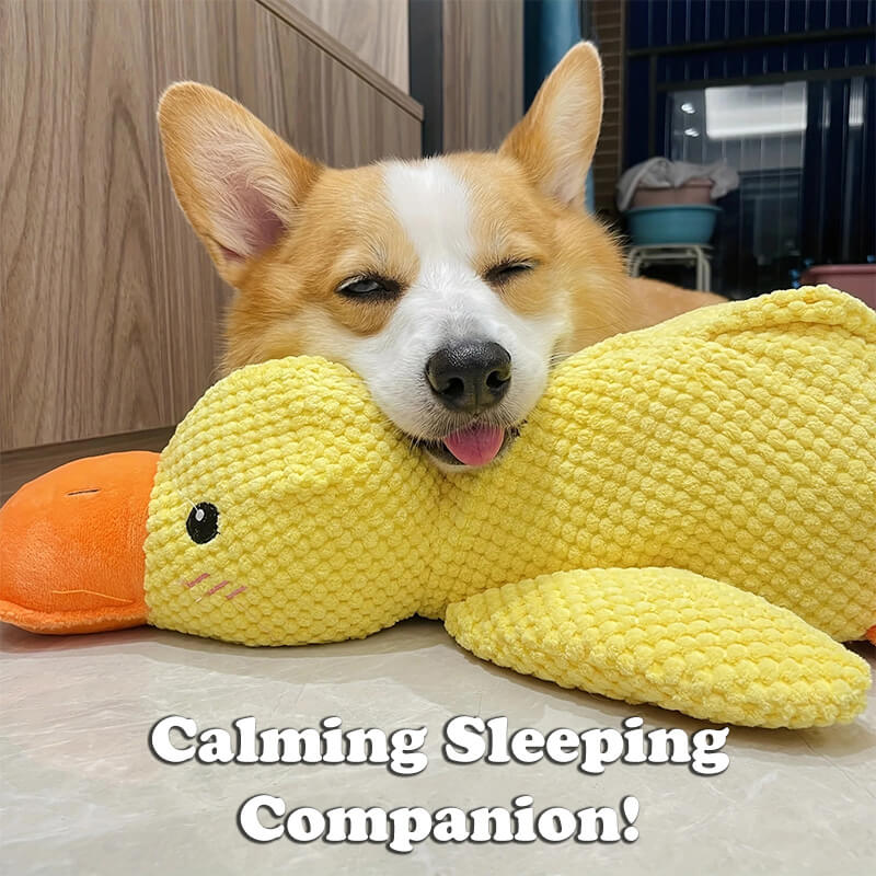 BuddyDuck - Dog Companion