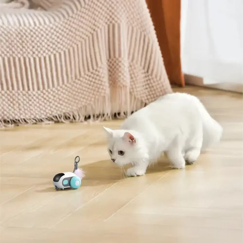 Hyper TurboTail 2.0 - The Ultimate Cat Toy