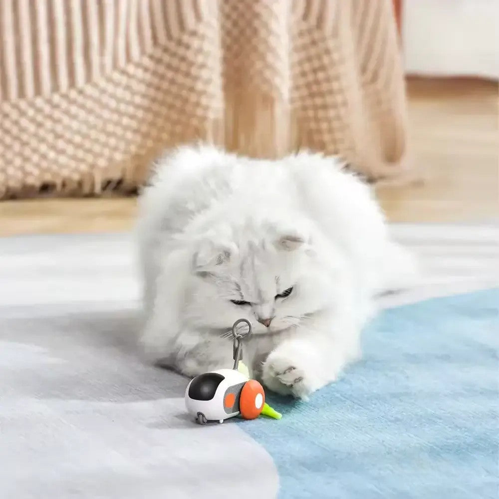 Hyper TurboTail 2.0 - The Ultimate Cat Toy