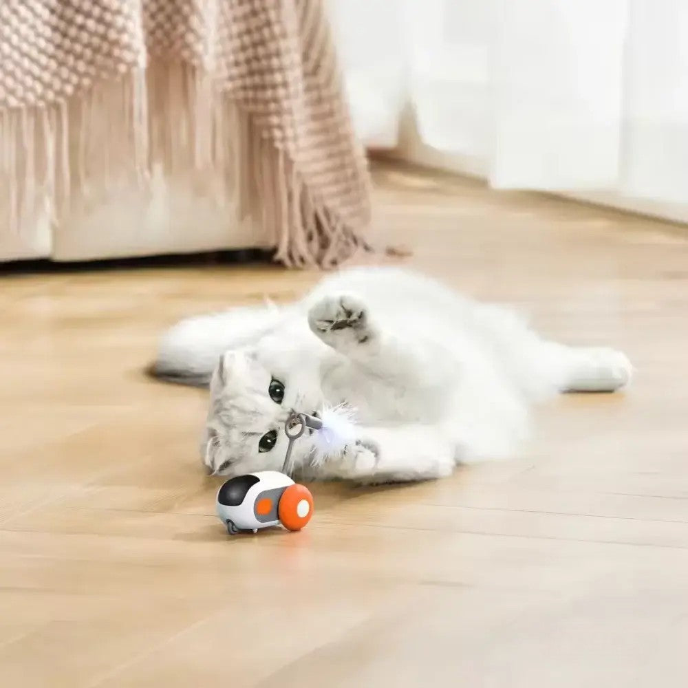 Hyper TurboTail 2.0 - The Ultimate Cat Toy